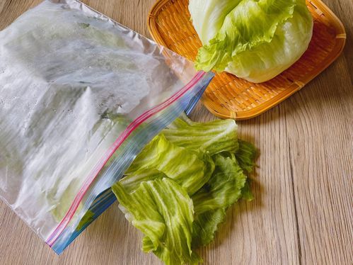 レタスの保存方法まとめ！冷蔵・冷凍別の長持ちテクニックをご紹介デリッシュキッチン