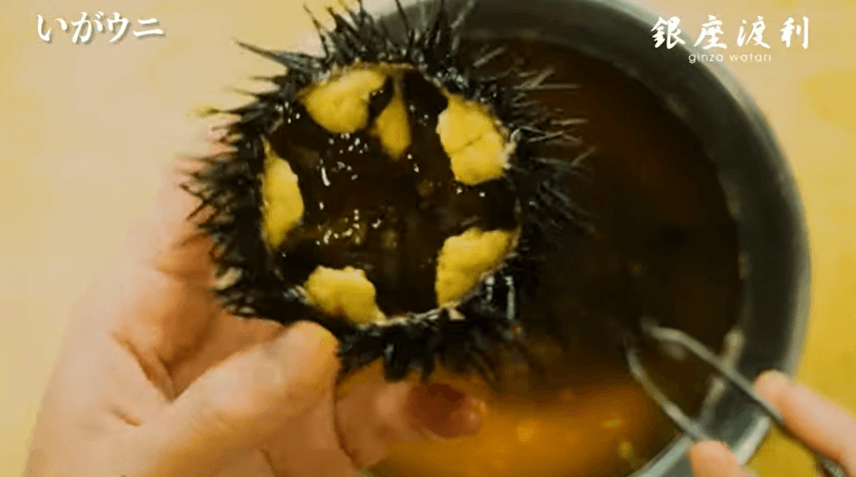 海藻を食べる厄介者のウニが大増殖 “中身がスカスカ”で利用価値なかったが 中学生が商品化目指し奮闘中TBS NEWS DIG2ページ