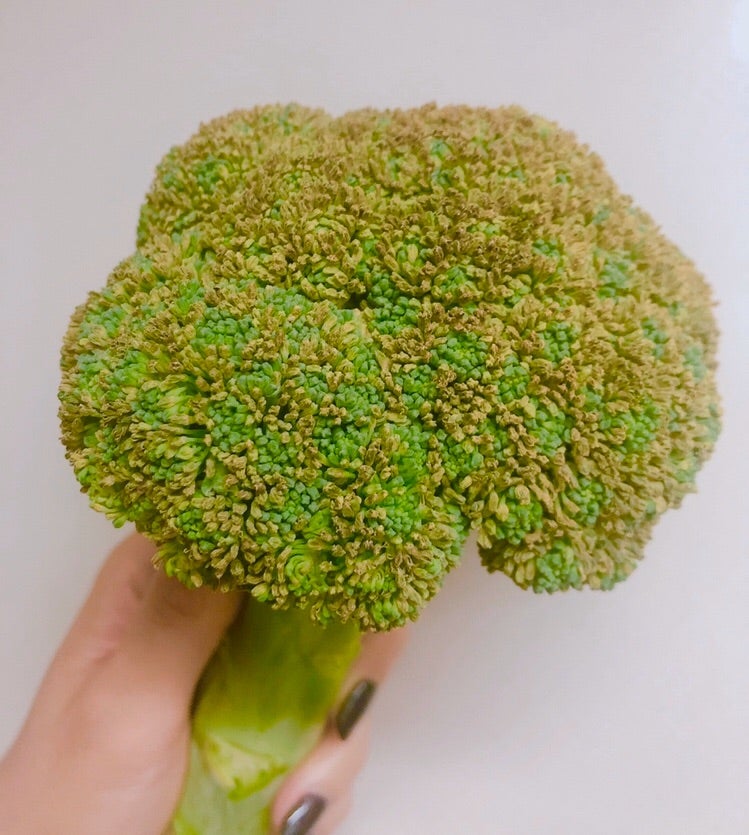 ブロッコリーの茎はどこまで食べられる？切り方・食べ方・冷凍方法も！ほほえみごはん-冷凍で食を豊かに-ニチレイフーズ