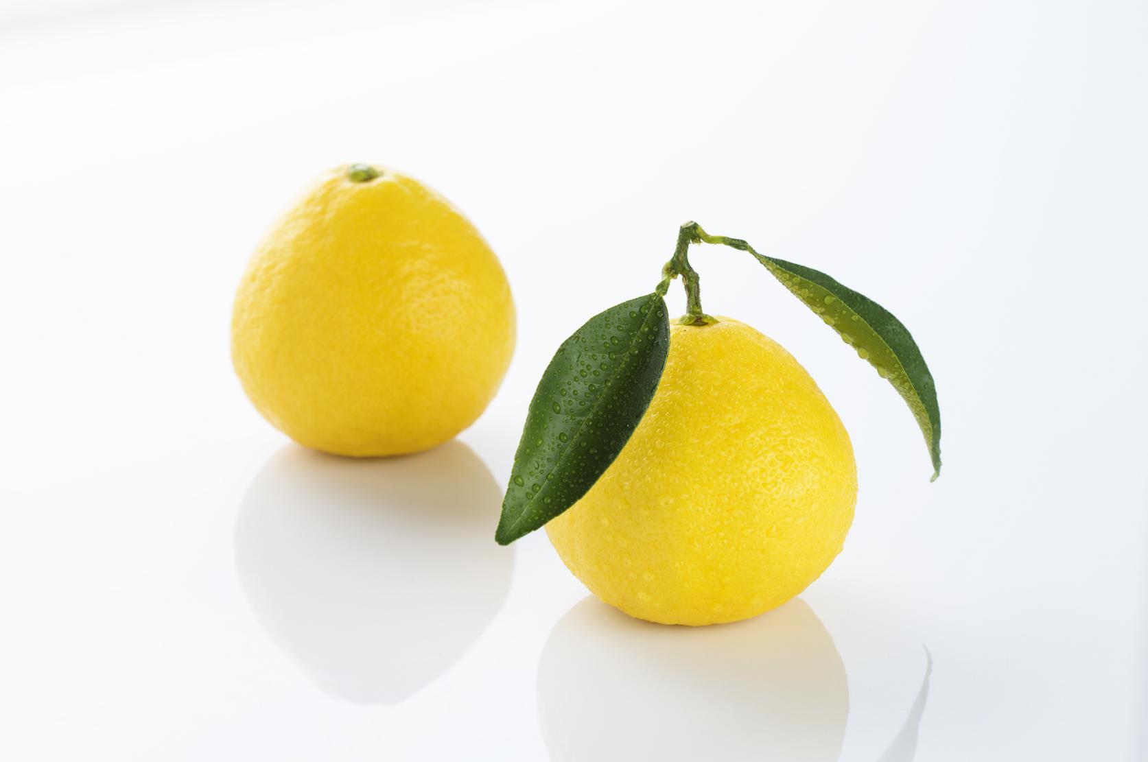 特産品宮崎県農業協同組合 JAみやざき