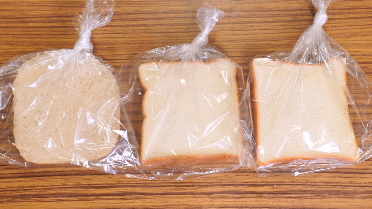 食パンに生えたアオカビと白カビ 写真素材7403642- フォトライブラリ