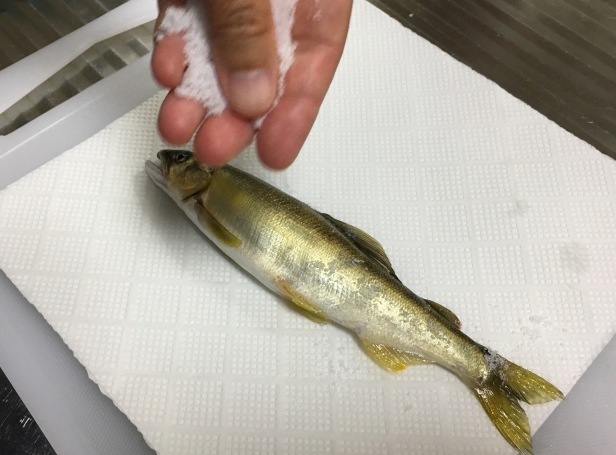 レシピ グリルで手間なし!「鯵の竜眼焼き」東京ガス ウチコト