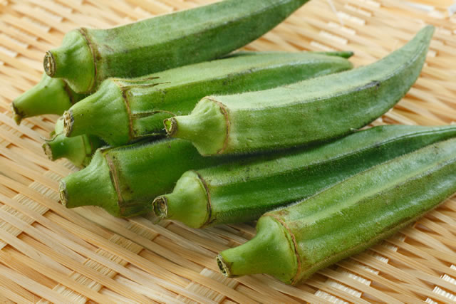 オクラ 葉すす病 : こうち農業ネット