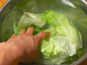 レタスをシャキっとさせる「50℃洗い」とは？HALMEK up ハルメクアップ