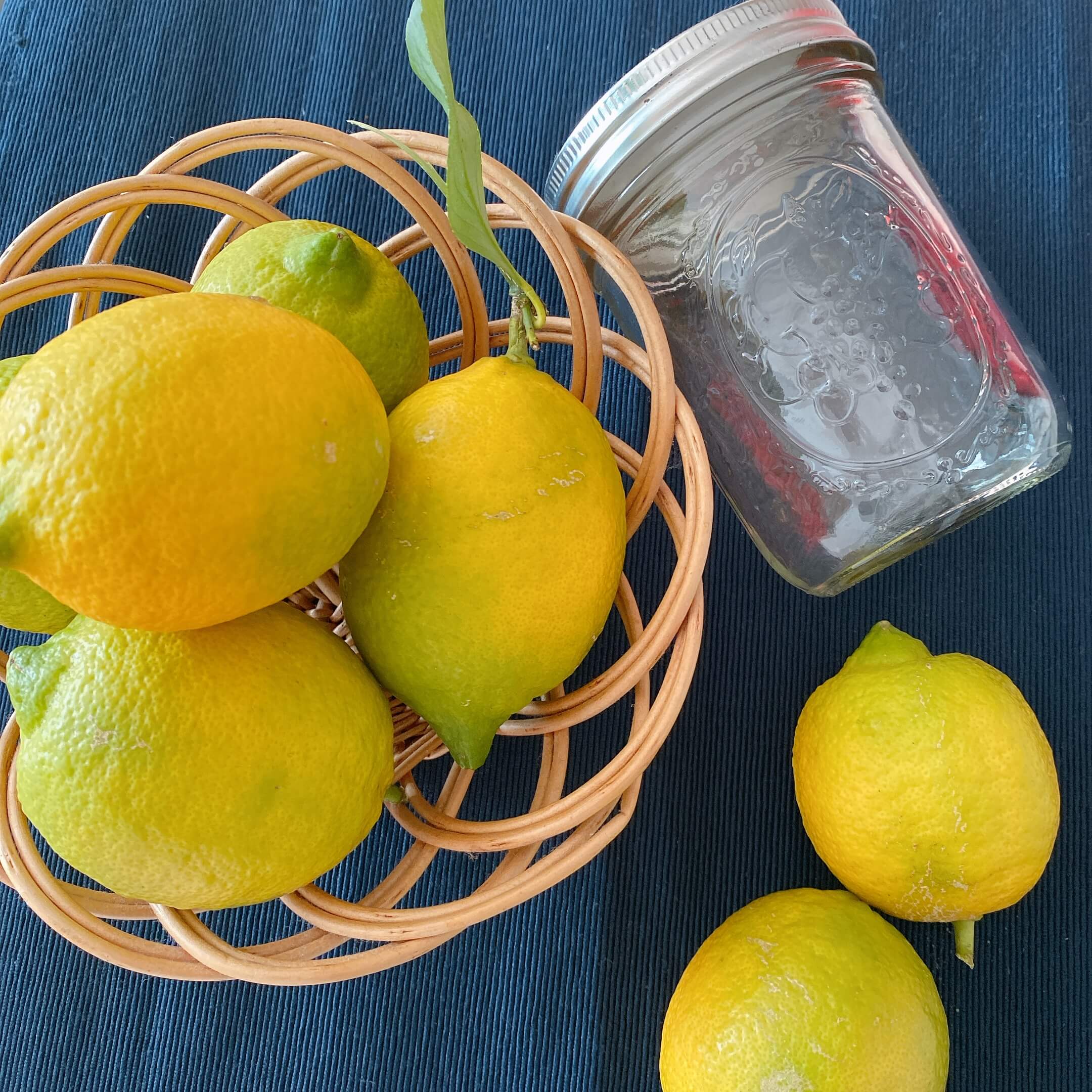 レモン おろし金」の人気商品一覧安い商品を通販サイトから探す - 価格.com