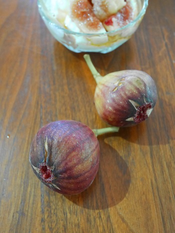 プレーンヨーグルト 無花果 はちみつ by msgnb120クックパッド簡単おいしいみんなのレシピが392万品