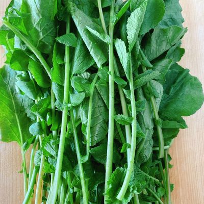 「ラディッシュの葉のナムル」レシピ