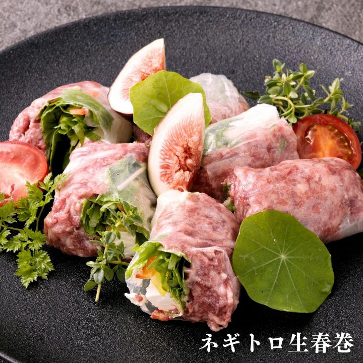 ふるさと納税フジチク 馬刺しネギトロ 選べる容量200g 300g 400g 500g 馬肉 冷凍 熊本 国産 馬 赤身肉 新鮮 生食用 生姜タレ付き 肉 お肉 冷凍 ばさし 馬刺 馬刺し ねぎとろ 送料無料 楽天市場ふるさと納税 馬刺し 桜うまトロネギトロ合計約720g