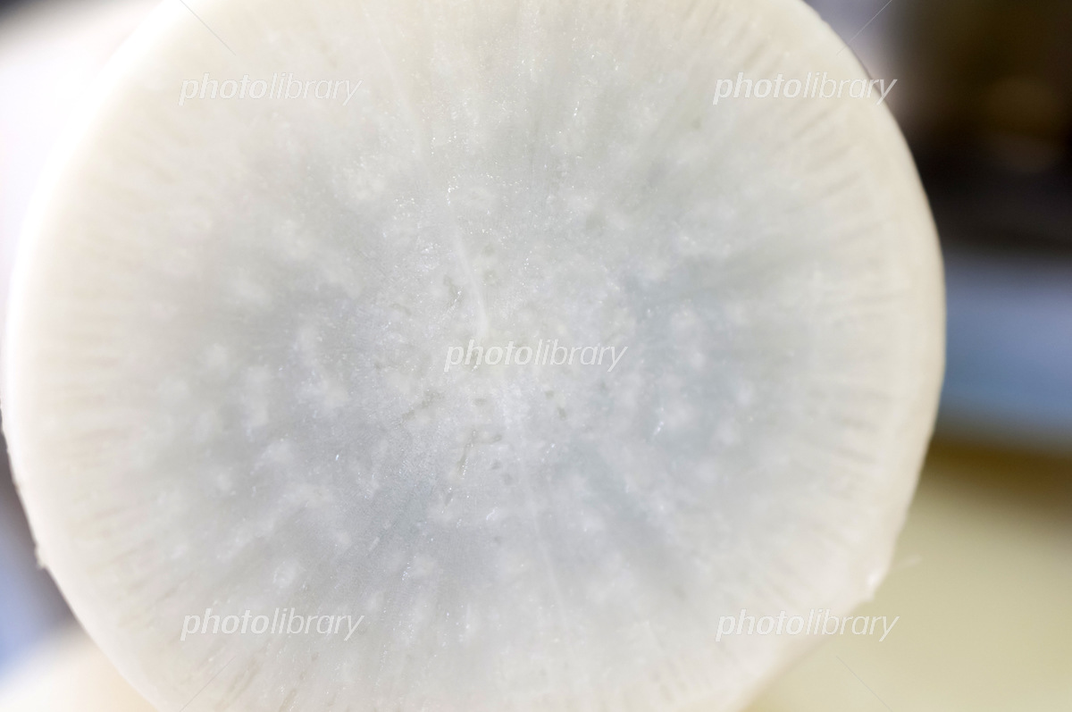 断面が青い」「ブヨブヨ柔らかい」食べてOK？管理栄養士が教える、大根の保存方法と賞味期限ヨガジャーナルオンライン