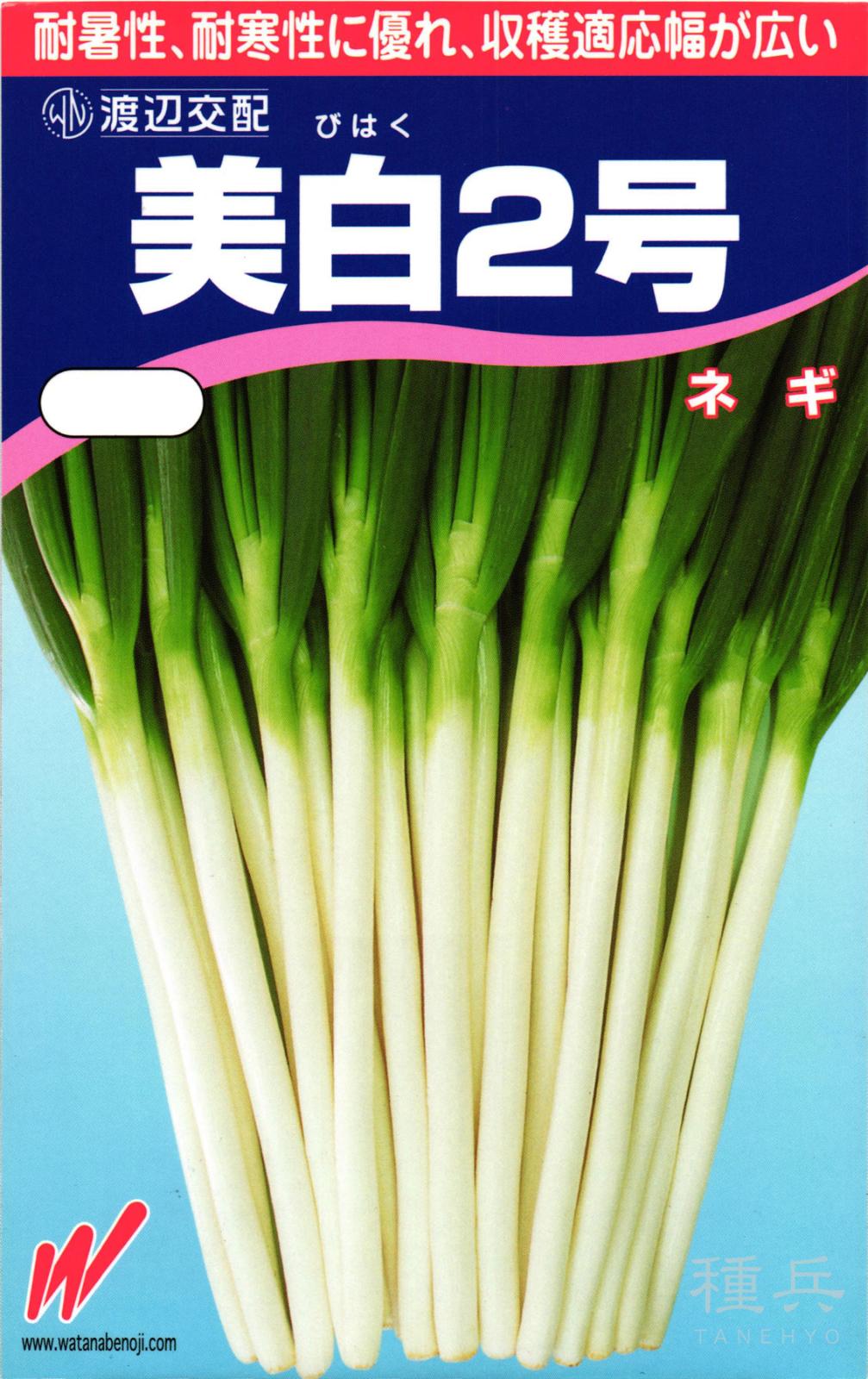 月報 野菜情報－今月の野菜－ねぎ－2012年10月