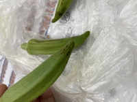 オクラに白カビが！まだ食べれるのかどうか検証してみたら意外な事実が