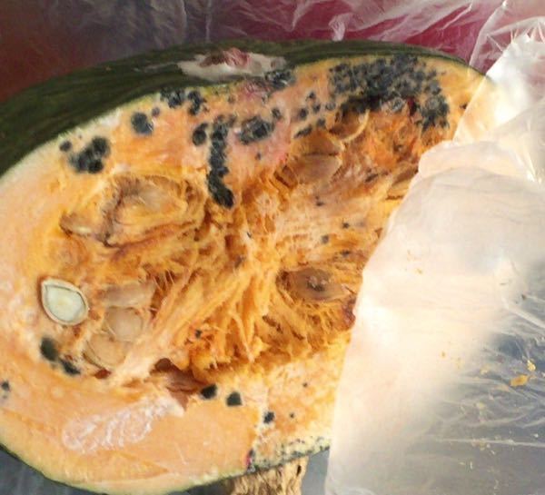 レシピあり 残念なかぼちゃをおいしく食べるコツ３選サンキュ！STYLE