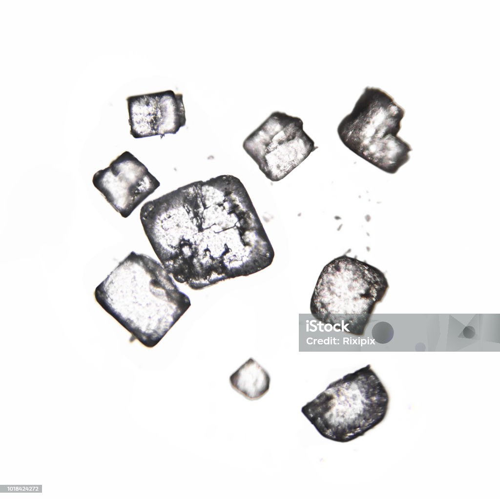 砂糖の結晶化の過程をロックキャンディー作りで確かめよう！バンダイによる、遊びと学びのココロ育むファミリーエンタメサイト