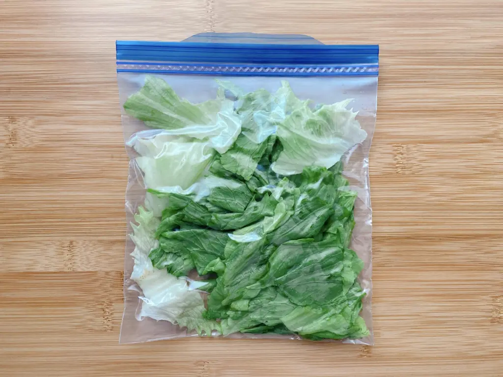 料理の幅が広がるレタスの冷凍保存傷みやすさをカバーする秘訣も！frozen by analyst.jp