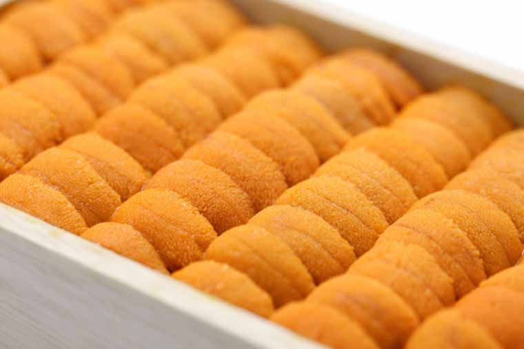 雲丹 ウニ 中身 urchinの写真素材 - PIXTA