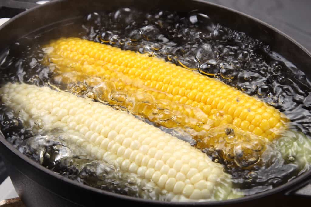 田舎暮らし とうきび茹でるロケットストーブyamaの田舎暮チャンネル