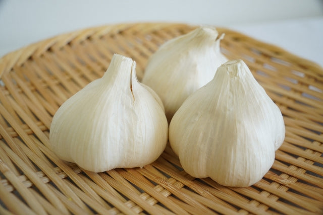 ニンニク 収穫後に腐る理由は？ニンニク栽培.com