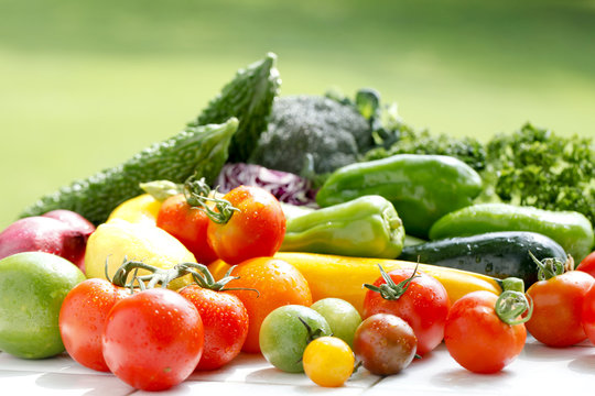 雑誌 定期購読の予約はFujisan 雑誌内検索： 株間がNHK 趣味の園芸 やさいの時間の2020年03月21日発売号で見つかりました