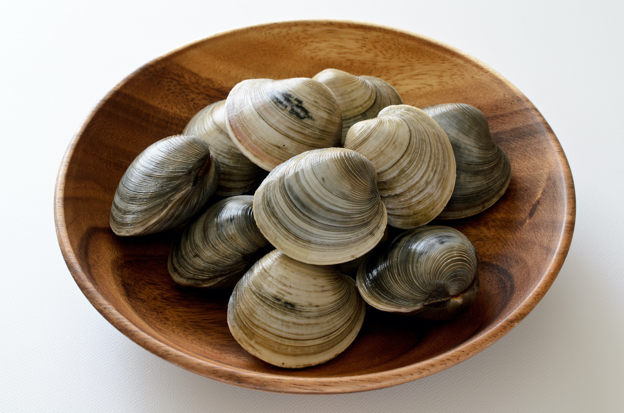 はまぐりとホンビノス貝の違いとは？似ているようで結構似てない食・料理オリーブオイルをひとまわし