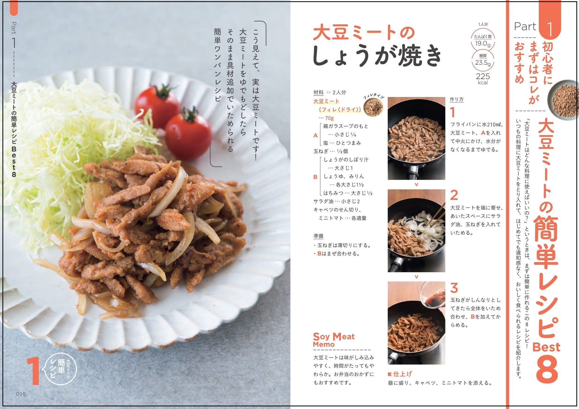 国産大豆ミート・フィレ 500g国産大豆100％大豆肉 ソイミート 代替肉 植物肉 ヴィーガン ベジタリアン ビーガン ダイエット 糖質制限公式 グリーンカルチャー ONLINE STORE