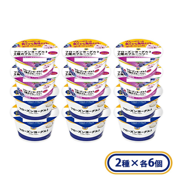 フローズンヨーグルト2種のブルーベリー 12個入 冷凍 スイーツ アイス ミニストップオリジナル ギフト 送料無料※一部地域は除く ミニストップ オンライン