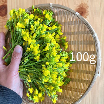 野沢菜の新芽お知らせ青果物卸・野菜卸株式会社ヤマテ