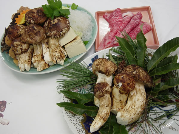 松茸とあわび季節限定のお料理しゃぶしゃぶ・日本料理 木曽路