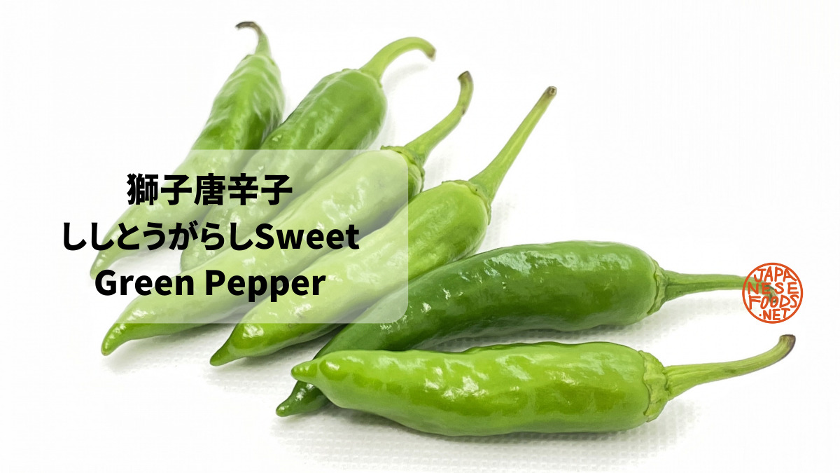 甘長トウガラシ」の栽培についていきいき菜園生活 公式 ＪＡ京都 暮らしのなかにＪＡを