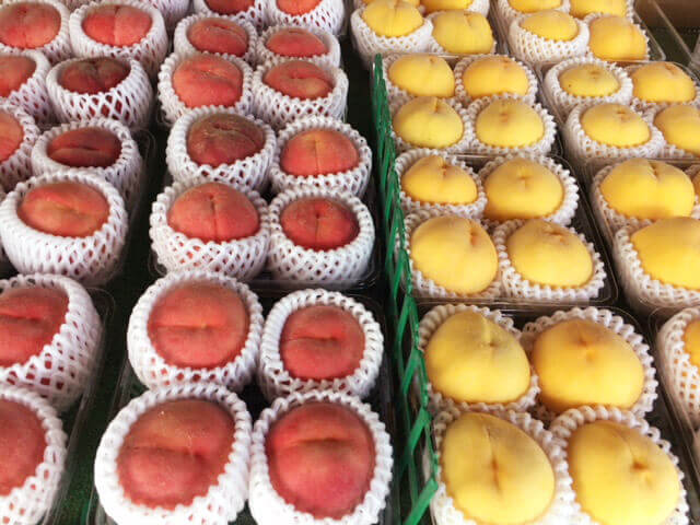 猿投産商品旬な果物・野菜・山菜の通販「さなげ青果」