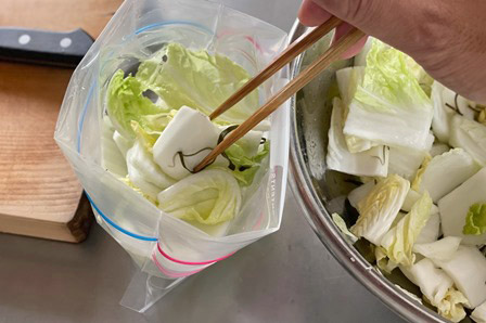 白菜 浅漬け 白だし 塩昆布TikTok