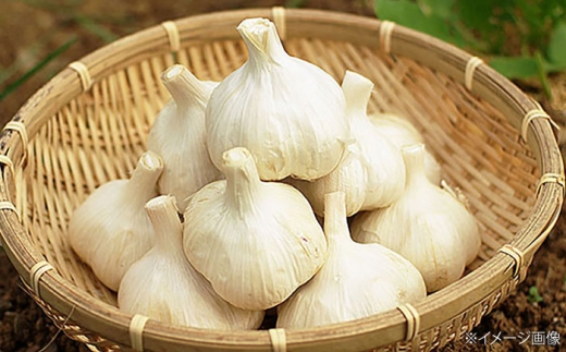 にんにくの保存方法 冷凍・冷蔵・常温のコツ! 皮ごと冷凍や瓶詰めの方法も!東京ガス ウチコト