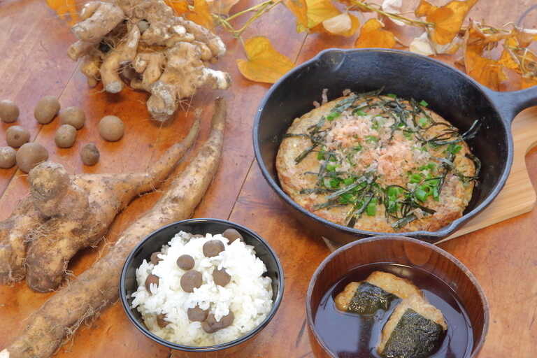 ヤマイモのグリーンカーテンのムカゴと幼虫: 丹沢山ろく夢工房の本づくり