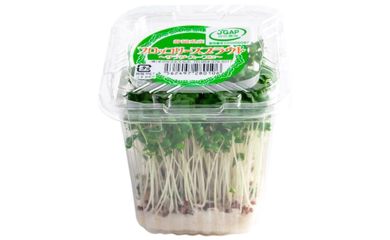 スプラウト」は種子のエネルギーが弾けた“栄養爆弾”