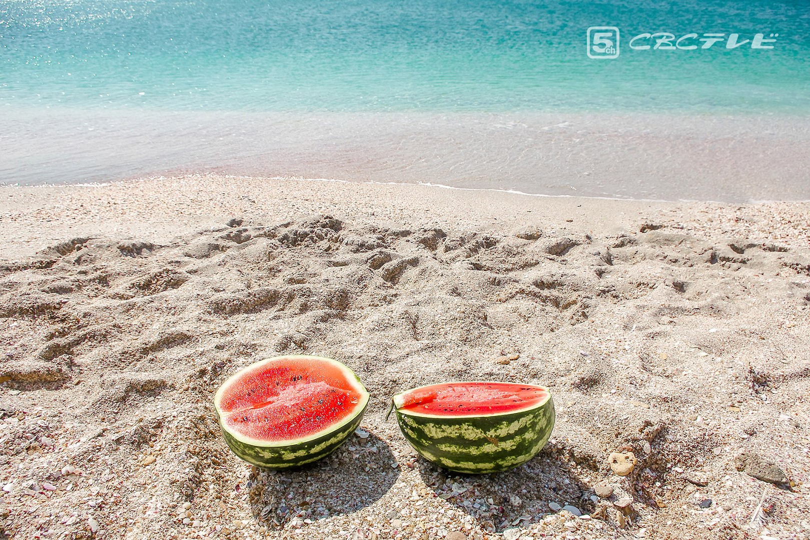 公式 すいか割り専用棒 suika wari bouMuku-studio ONLINE SHOP