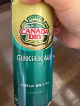 コカ・コーラ カナダドライ ジンジャーエール 160ml 1箱 30缶入- アスクル