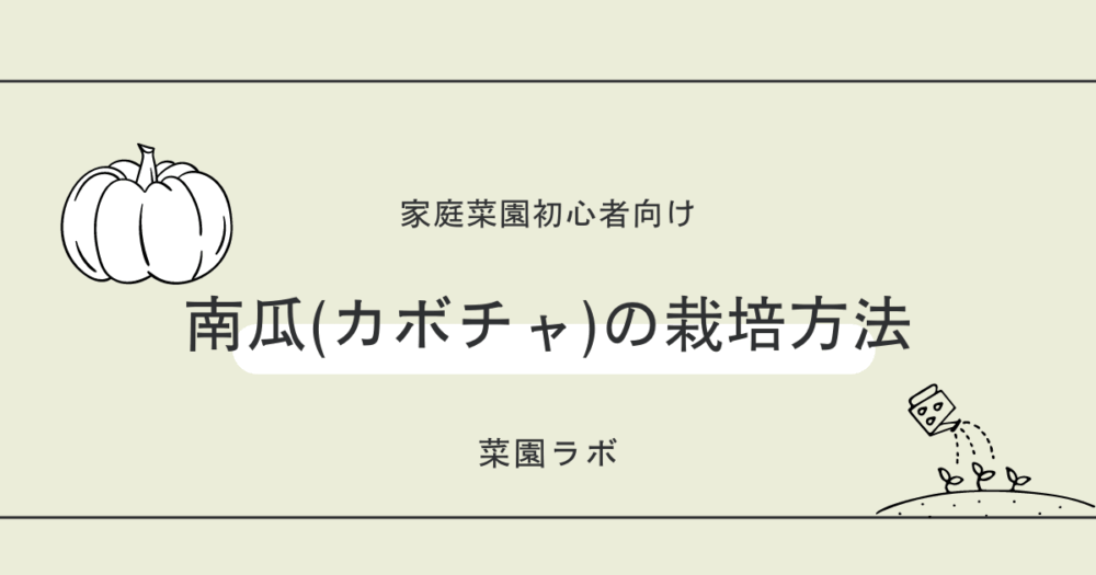 完全攻略 家庭菜園初心者が“かぼちゃ”を栽培するために必要な知識を教えます！ - ビカクPTのブログ