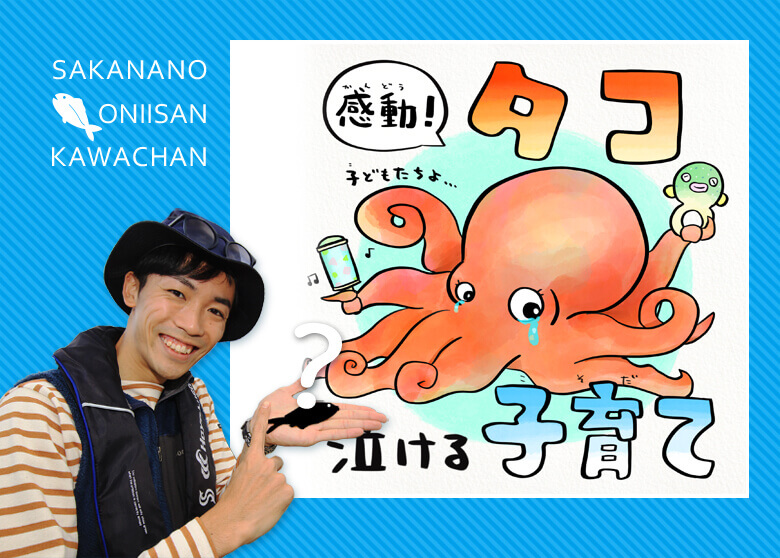正しく知ろう 妊婦はたこを食べてもOK！刺身・水銀のリスクとは┃まなべび