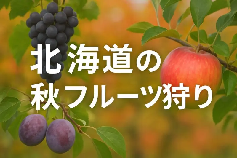 秋の味覚を北海道で！オシャレで落ち着いたフルーツ狩りスポット3選あぐりマッチ