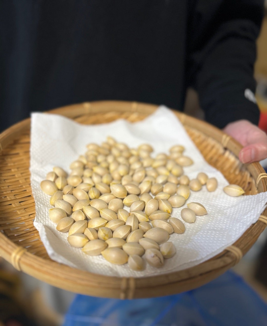 未熟な銀杏は甘酸っぱくて美味い」と聞いたので食べてみた野食ハンマープライス