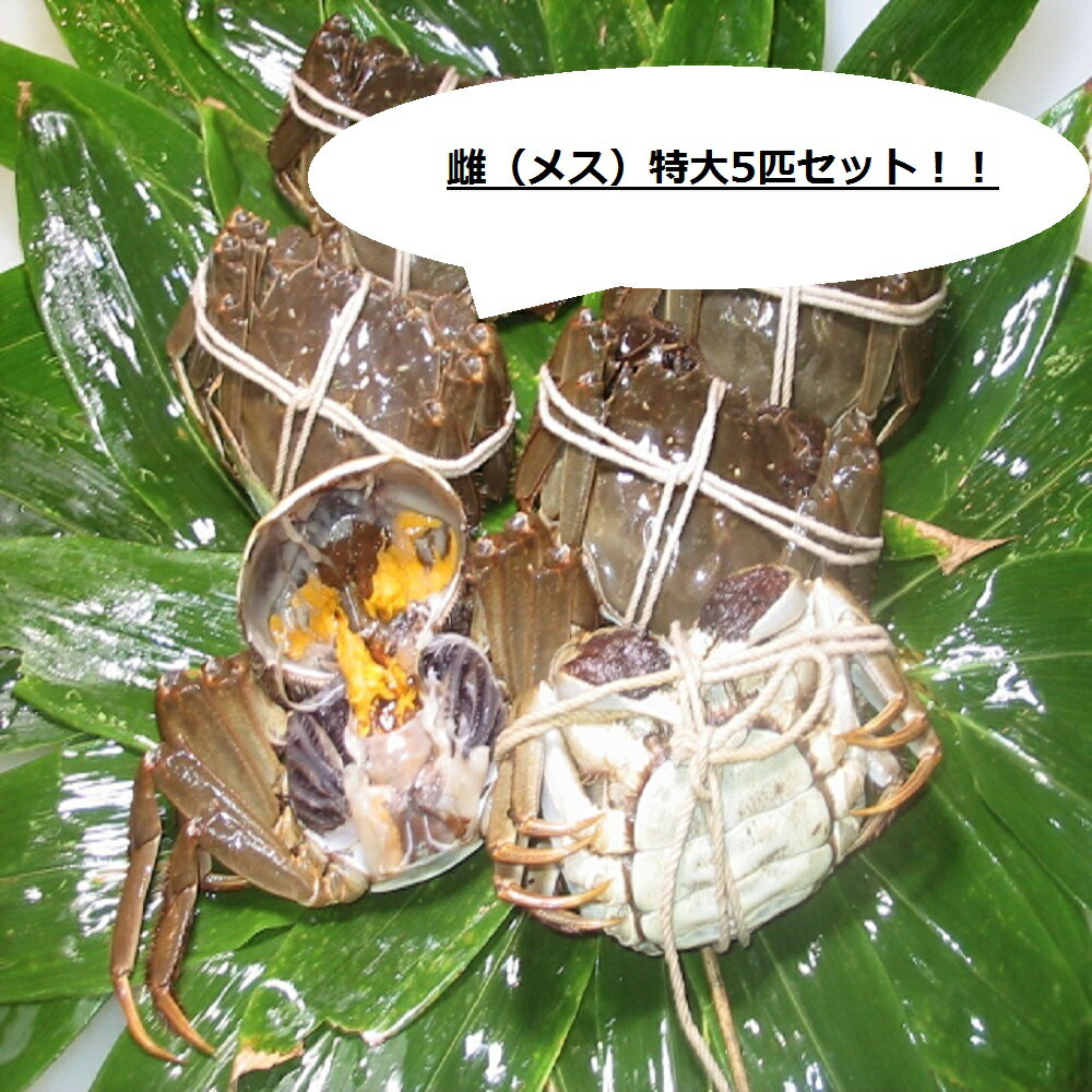 海鮮丼が500円!?安くてうまい海鮮丼。上野アメ横『みなとや』東京都トラベルjp 旅行ガイド