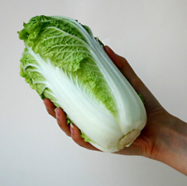 おうちで収穫 野菜の種 ミニ白菜の通販ハクサイ野菜の種フラワー&グリーンホームセンターナフコ 公式通販