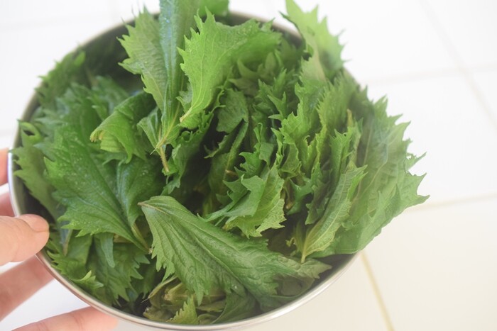 大葉はとにかく ^^ 冷凍保存がオススメ♪