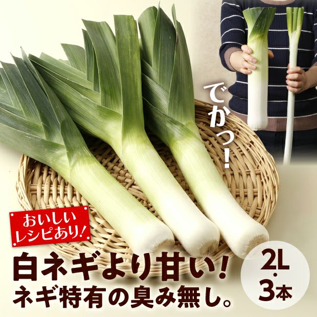 リーキってどんな野菜？ネギとの違いや食べ方・おすすめレシピなどマイナビ農業