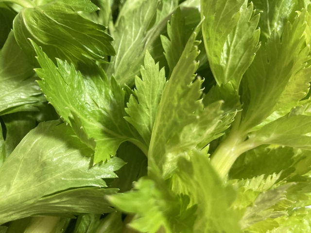 ネギの青い部分がない時におすすめの代用品とは心穏やかに、笑顔で過ごす ～セカンドステージの歩き方～