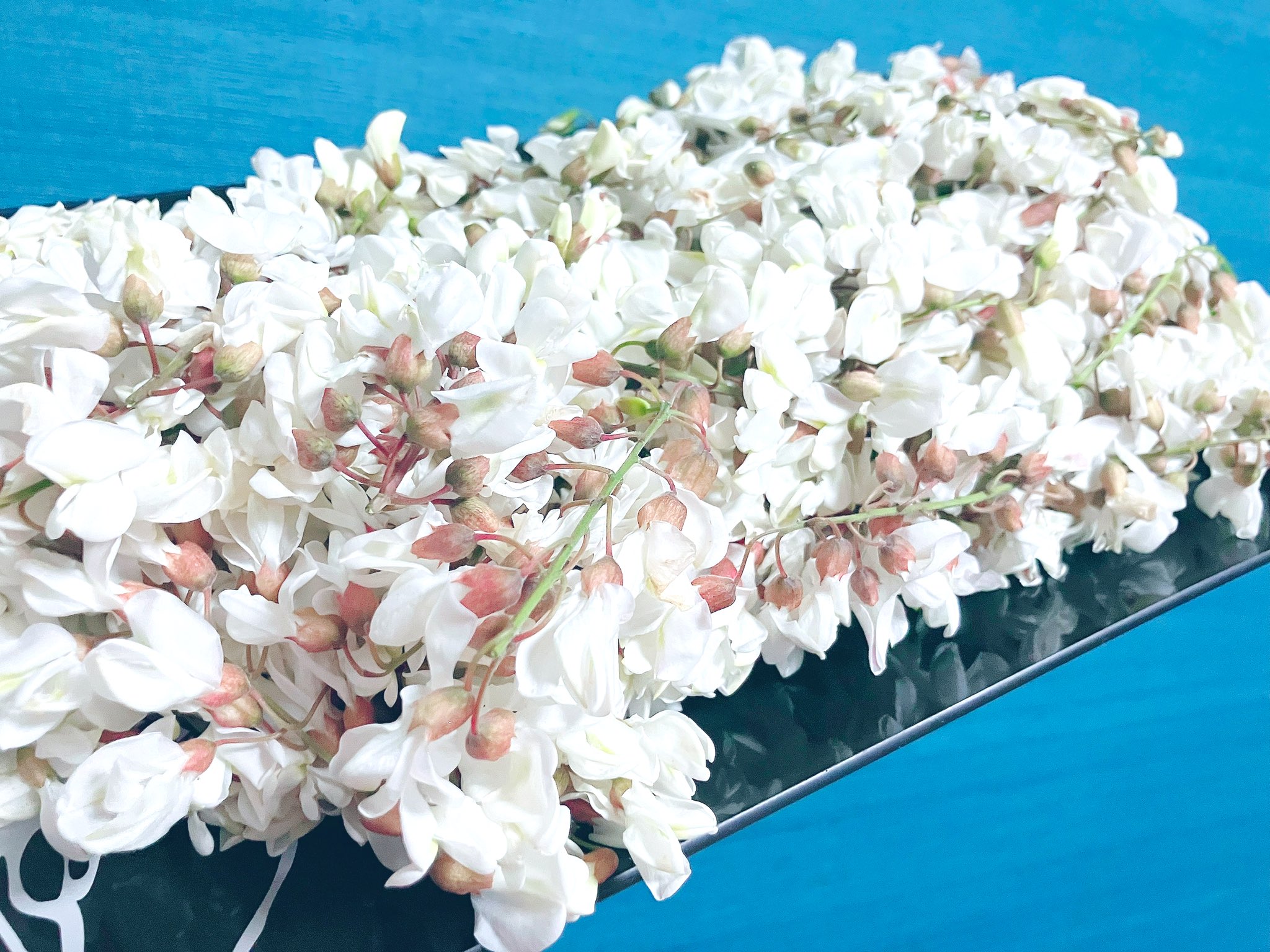 アカシアの天ぷら。 : 染め色・いろいろ