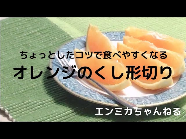 タロッコ - 能古島久保田農園