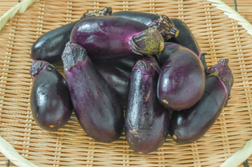 和食のプロ直伝！飾り切りを使って食を華やかに