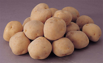 Amazon.co.jp: 訳あり じゃがいも じゃがいも メークイン ポテト ジャガイモ じゃが 野菜1kg: 食品・飲料・お酒