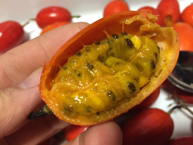 琉球スズメウリ：安全に楽しむための知識と注意点 - 食べ方を中心に解説