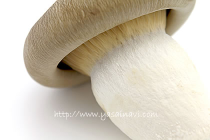 ぶなしめじの選び方素材の基本とっておきレシピキユーピ